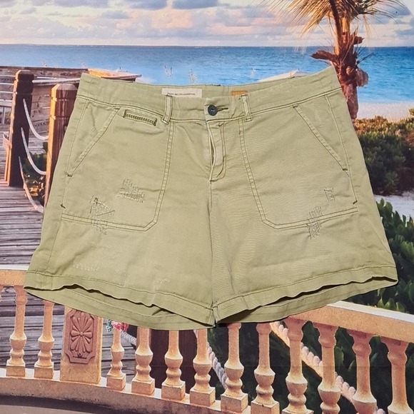 Pilcro and the Letterpress Chino Shorts Size 30 - Picture 1 of 5